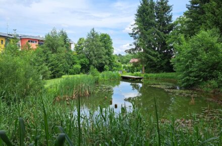 Biotop im OptimaMed Rehabilitationszentrum Aspach